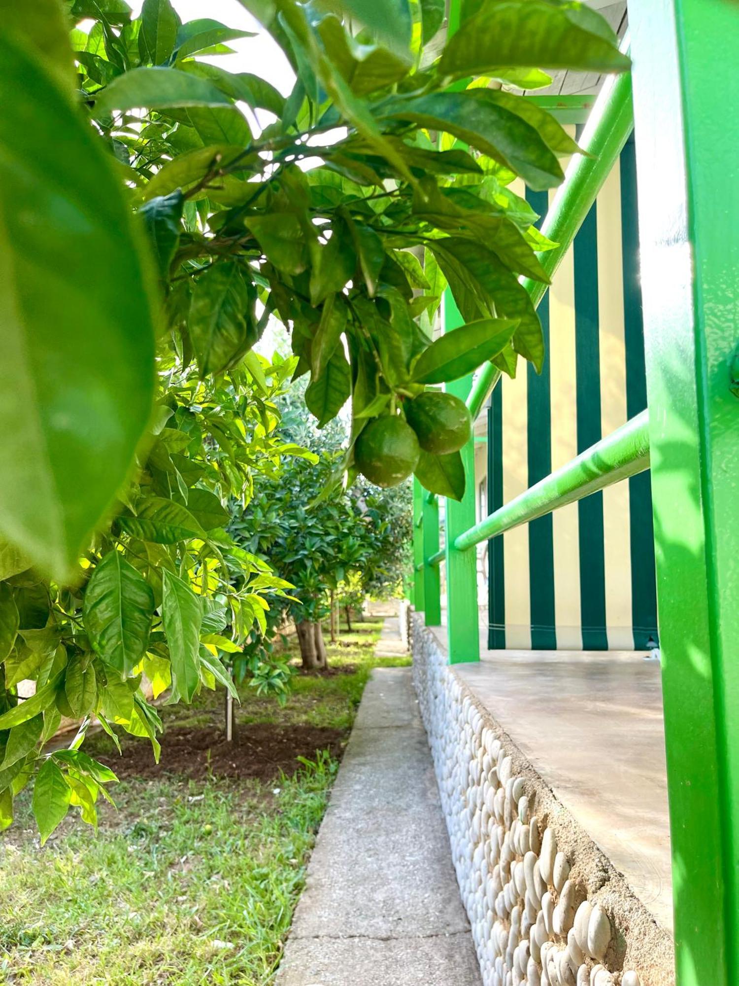Chalet Ambel Dhermi Luaran gambar